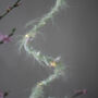 Wildflower Fairy Lights, thumbnail 7 of 12