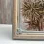Vintage Style Ornate Photo Frame 4x6 Inch Picture Frame Gift, thumbnail 6 of 9