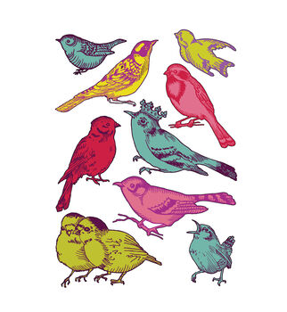 Vintage Birds Wall Stickers, 2 of 2