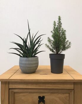 Elegant Houseplant Planter Amalfi Grey, 4 of 4