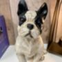 26cm Black And White French Bulldog Figurine Ornament, thumbnail 2 of 9