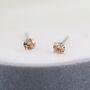 Sterling Silver November Birthstone Earrings, thumbnail 6 of 12
