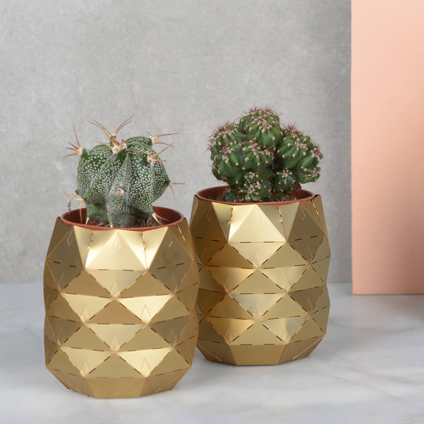 pineapple plant pot by another studio