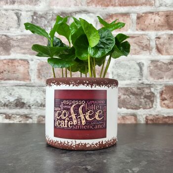 Retro Coffee Houseplant Pot Gift Surprise Plant, 5 of 10