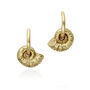 Solid Gold Ammonite Hoops, thumbnail 2 of 4