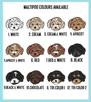 Personalised Maltipoo ID Tag, 4 of 5