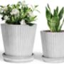 Pack Of Two Stripe Cement Plant Pot With Saucer, thumbnail 4 of 7