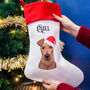 Personalised Santa Dog Christmas Stocking, thumbnail 11 of 12