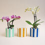 Small Stripy Scalloped Pot Choose Your Colours, thumbnail 1 of 11