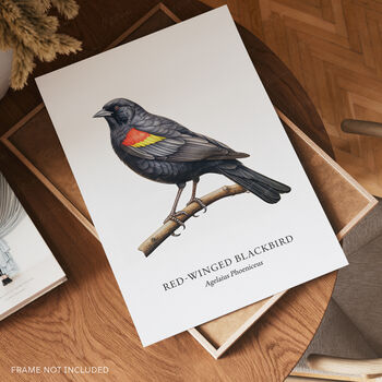 Red Winged Blackbird Wall Print, 3 of 5