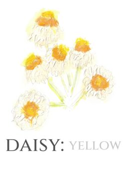 Daisy Table Name Number Double Sided A5 Wedding Stationery, 2 of 6