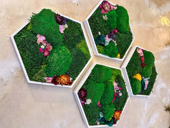 Hexagonal Moss Wall Art, Honeycomb Moss Wood Hexagon, 2 of 12