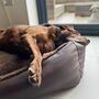 Vegan Leather And Sherpa Fleece Lined Dog Bed, thumbnail 1 of 12