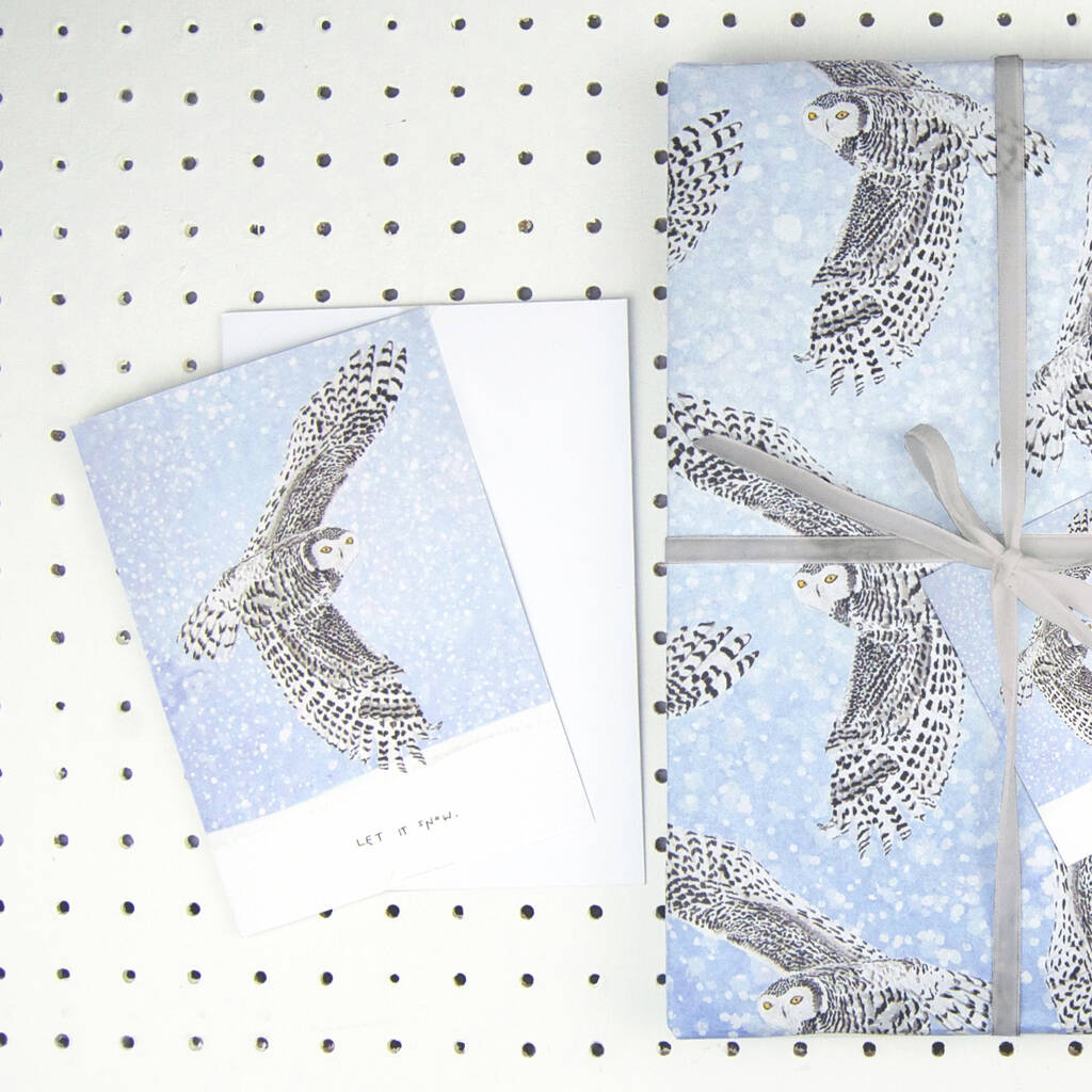 Let It Snow Owl Christmas Card, 1 of 2