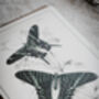 Colour Butterfly Greeting Cards – Set Of Four Vintage A6 Designs, thumbnail 10 of 11