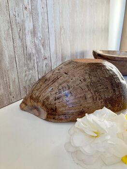 Coconut Shell Bowl With Pearlised Lining Natural Bowl, 5 of 10