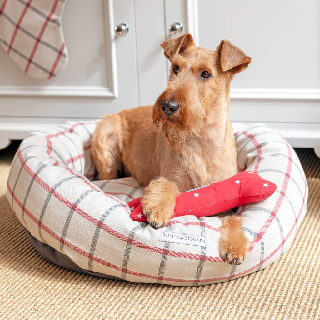 Nottingham Checked Brushed Cotton Dog Beds By Mutts & Hounds