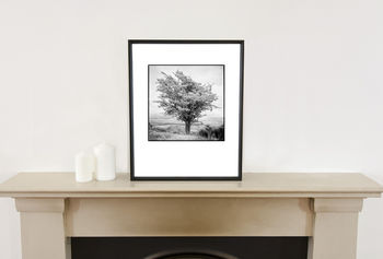 Tree I, Exmoor Photographic Art Print, 2 of 4
