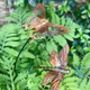 Set Of Two Copper Insect Garden Stakes – Butterfly And Dragonfly On Curved Poles, thumbnail 6 of 7