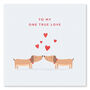 One True Love Dog Valentine's Day Card, thumbnail 1 of 2