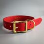 Personalised Red Leather Dog Collar, thumbnail 4 of 8