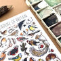 Gardens Wildlife Of Britain Watercolour Postcard, thumbnail 10 of 11