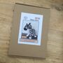Zippy Zebra Letterbox Stitch Kit, thumbnail 3 of 6