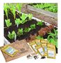 Grow Your Own Three Month Vegetable Seed Subscription, thumbnail 1 of 9