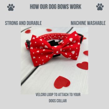 Red Valentine Heart Dog Bow Tie, 3 of 4
