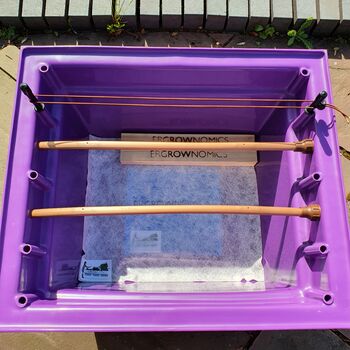 Introduction To Container Growing Kit, 8 of 12