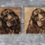 Set Of Two Cocker Spaniel Coasters, thumbnail 2 of 3