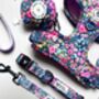 Candy Floral Padded Dog Lead Dog Leash, thumbnail 8 of 9