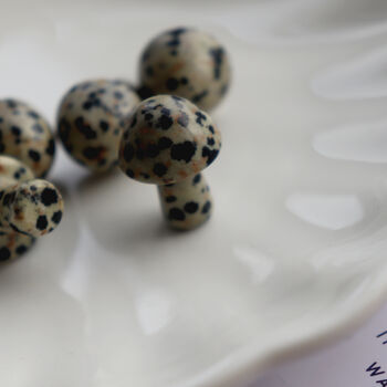 Tiny Polished Dalmatian Jasper Mushroom Crystal, 4 of 4