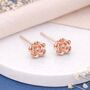 Rose Gold Plated Sterling Silver June Birth Flower Stud Earrings – 7mm, thumbnail 1 of 3