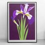 Tropic Night Iris Giclee Art Print / Wall Art, Bright, Floral, Botanical, Home Decor, Interior, Illustration, A4 / A3, thumbnail 1 of 3