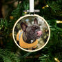 Mini Dog Photo Hoop Christmas Tree Decoration, thumbnail 1 of 2
