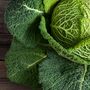 Vegetable Plants Cabbage 'Savoy' 12 X Plant Pack, thumbnail 6 of 12