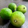 Faux Lime Decoration, thumbnail 1 of 3