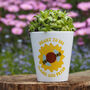 Personalised Meant To Bee Flower Pot Gift With Seeds / Engagement, Wedding, Anniversary Or Valentine's Day Gift, thumbnail 1 of 2