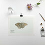 Set Of Butterfly A5 Giclée Art Prints, thumbnail 5 of 11