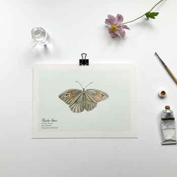 Set Of Butterfly A5 Giclée Art Prints, 5 of 11