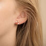 Rose Gold Plated Crystal Stud Earrings, thumbnail 2 of 2