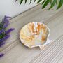 Orange Marbled Seashell Trinket Tray/ Soap Dish, thumbnail 1 of 8