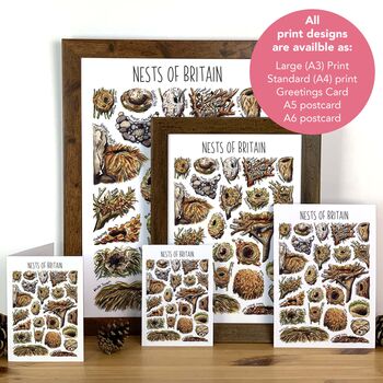 Nests Of Britain Greeting Card, 6 of 7