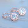 Rose Gold Plated Round Pave Drop Earrings, thumbnail 1 of 4