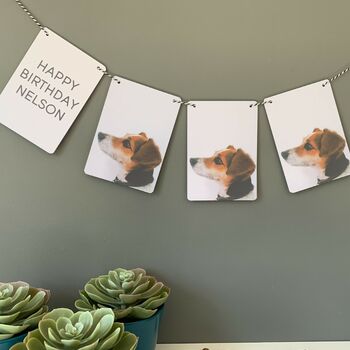 Pet Party Banner Bunting, 3 of 3