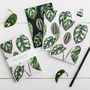 Pack Of Three Houseplants Notebooks, thumbnail 1 of 3