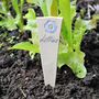 Plant Label, Herb Marker, Name Tag Set For The Garden, thumbnail 8 of 10