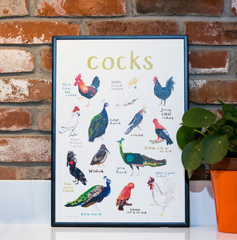 'Cocks' Illustrated Bird Art Print, 2 of 3
