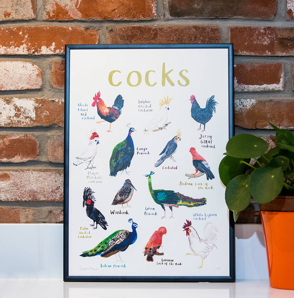 Cocks Illustrated Bird Art Print By Sarah Edmonds Illustration